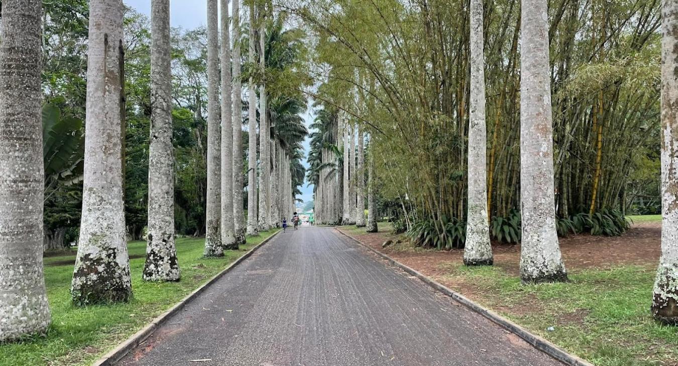 Aburi Gardens