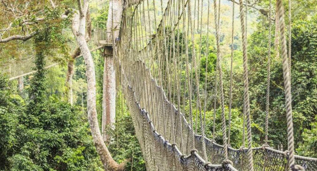 Kakum National Park 