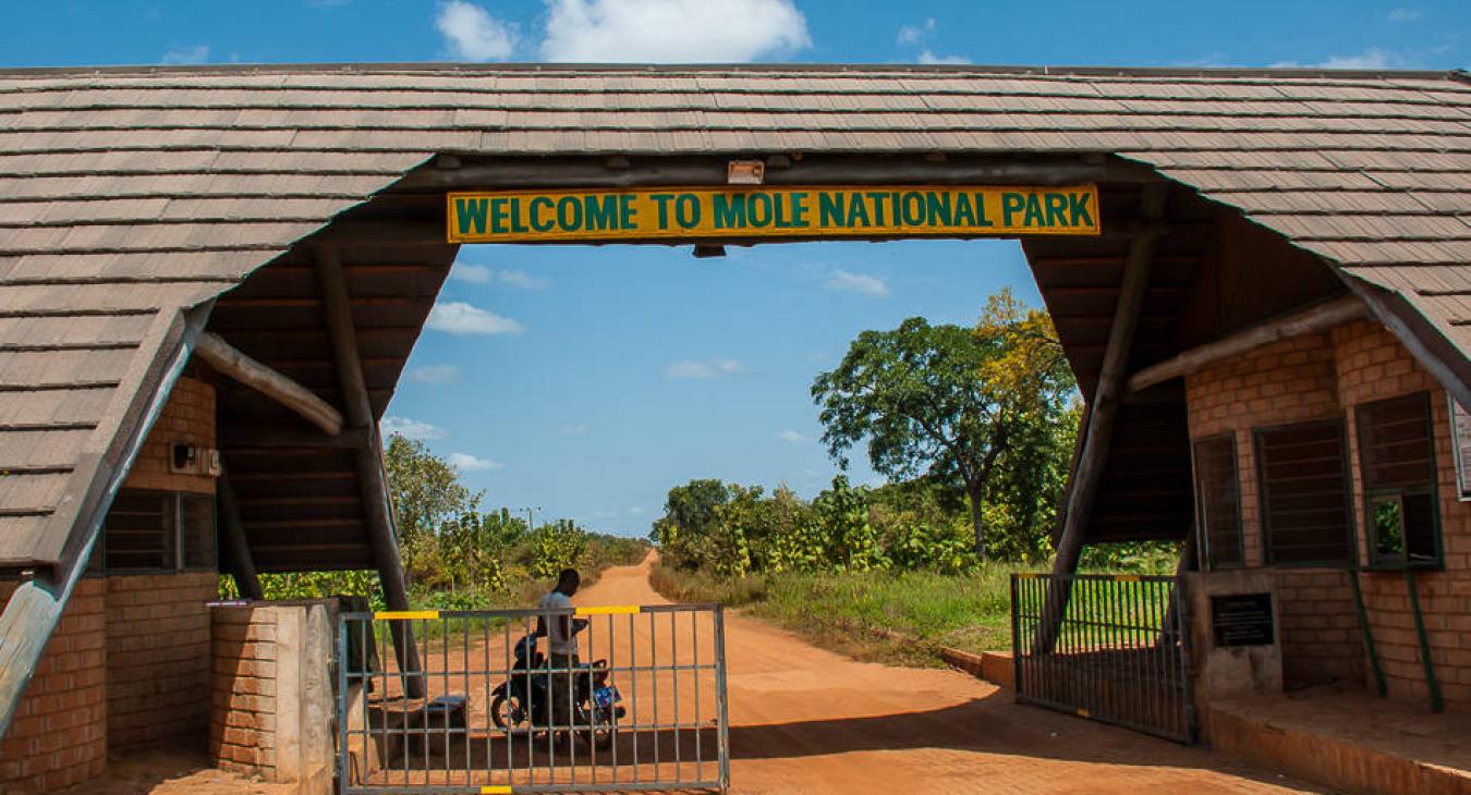 Mole National Park